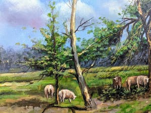 Niet of onleesbaar gesigneerd - Heideveld met schapen. Dwingeloo? kopen? Bied vanaf 1!