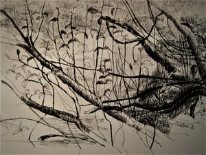 Paul Citroen - 3 vooroorlogse figuratieve Sepia tekeningen (bos)landschappen kopen? Bied vanaf 20!