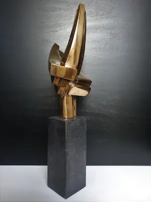 Brons (Onbekend) - gepolijst abstract brons, zeer mooi. kopen? Bied vanaf 325!