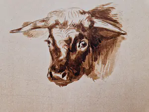 A. van der Brugghen - 19e eeuwse Aquarel (stiertje) en 2 tekeningen (vechtende)Herten - monogram kopen? Bied vanaf 68!