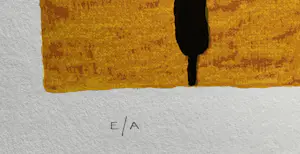 Ronald Boonacker - Terra di Toscana, Italië kopen? Bied vanaf 65!