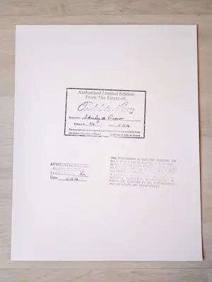 Andre De Dienes - Marilyn Monroe -Tobey Beach,1949/2006 - Auflage von 91 - drucksigniert kopen? Bied vanaf 500!