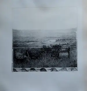 Charles Donker - Utrechts? landschap met diverse vogels kaufen? Bieten Sie von 125!