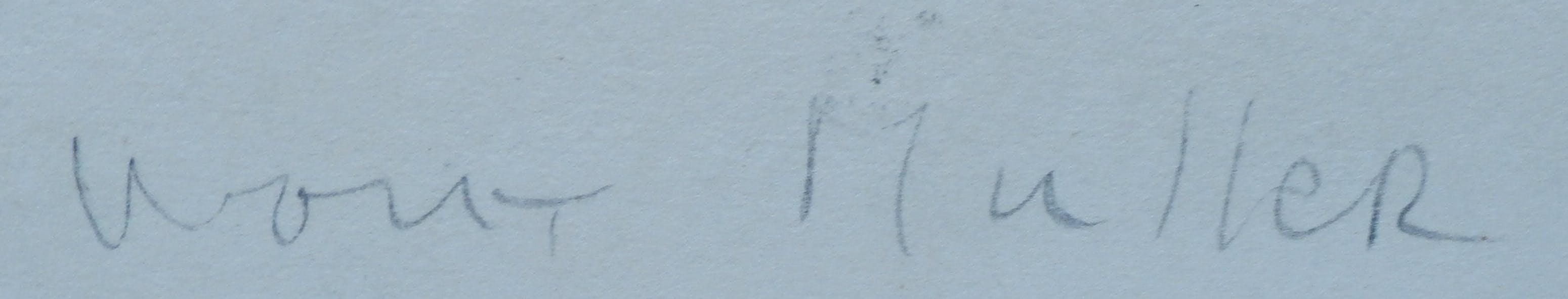 Wout Muller - Litho kopen? Bied vanaf 50!