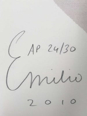 Emilio Kruithof - Zeefdruk, Morning Colors kopen? Bied vanaf 1!