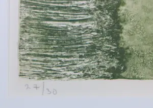 Jan Montyn - Ets, Dry Rock Garden - Ingelijst kopen? Bied vanaf 100!