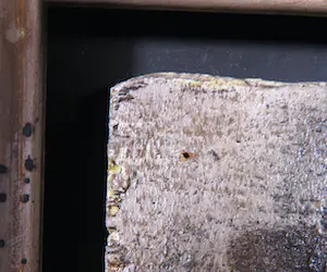 Jan Radersma - Gemengde techniek op paneel, Signs kopen? Bied vanaf 50!