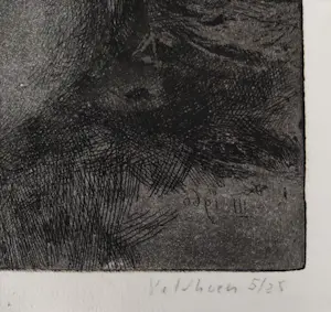 Aat Veldhoen - De bevalling kopen? Bied vanaf 100!