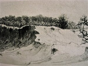 Dirk Harting - Meesterlijk Etser - Willink van Collenprijs 1913 - "Duinlandschap omstreeks 1920 kopen? Bied vanaf 10!