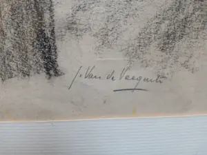 julien Van de Veegaete - Violist kopen? Bied vanaf 60!