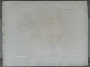 AcheterShirley Estelle Witebsky - Lithographie "Métamorphose"? Enchérissez de 90!
