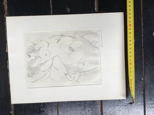 Fons Montens - Dame met de duif kopen? Bied vanaf 50!