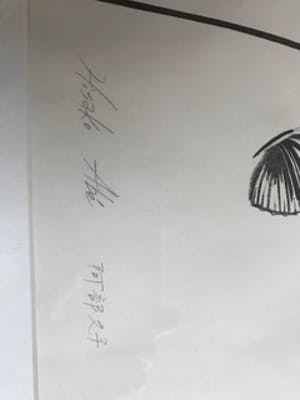 Hisako Viruly Abe - Plants en butterflies kopen? Bied vanaf 30!