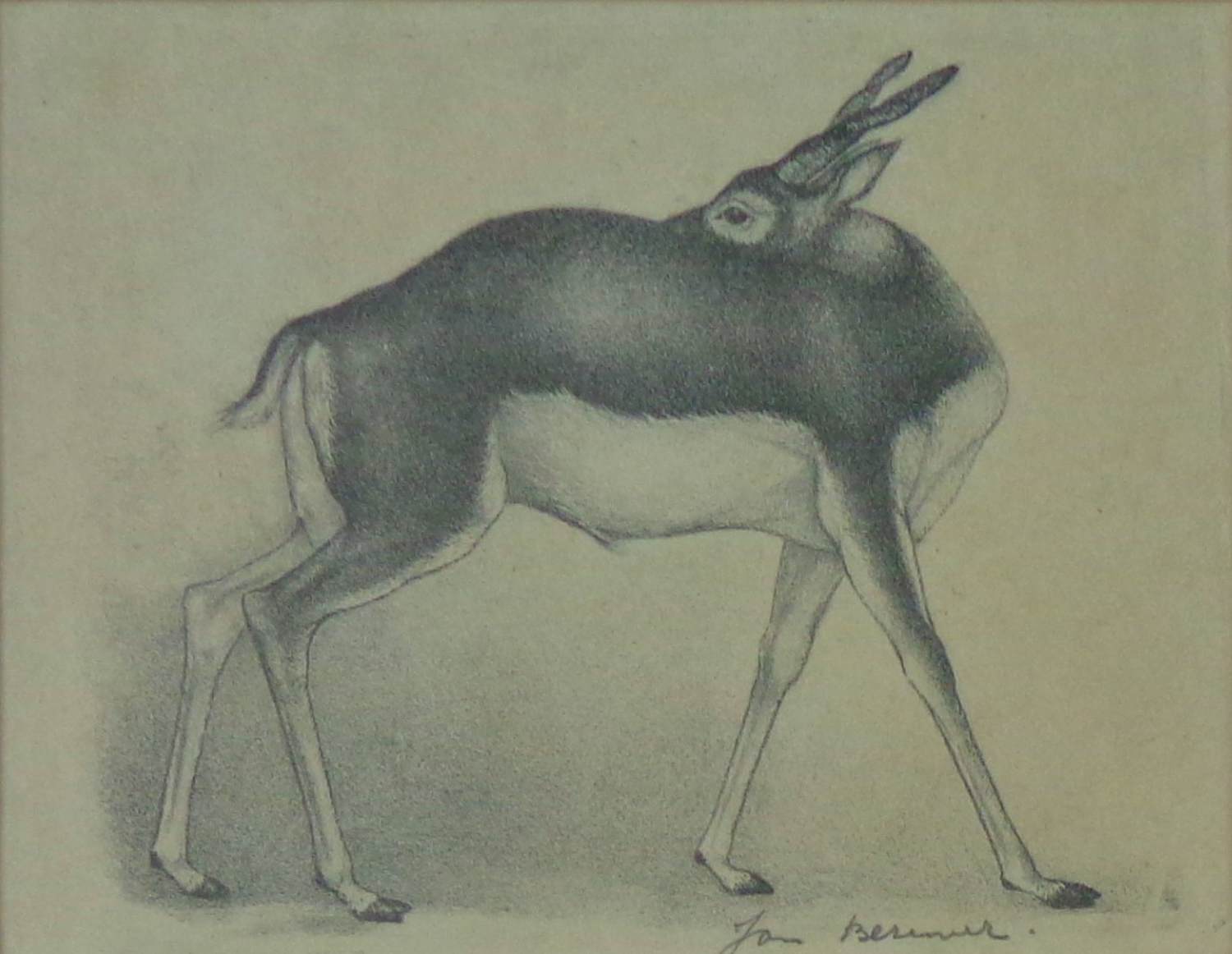 Jan Bezemer - GAZELLE / ZW-W LITHO / 35x39cm / KADER / SIG kopen? Bied vanaf 35!