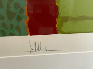 Ton Schulten - Twente in zonlicht - Nr. 121 - ingelijst kopen? Bied vanaf 600!