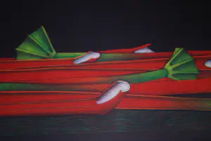 Joop Vegter - Rabarber - mezzotint - 1997 kopen? Bied vanaf 145!