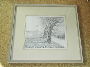 Cees Schellenberg - Tekening - Mariapolder Dordrecht kopen? Bied vanaf 60!