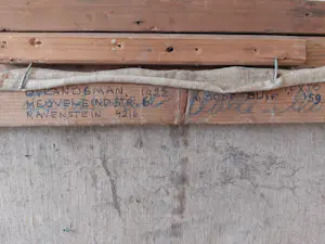 Dirk Landsman - Dode duif kopen? Bied vanaf 50!