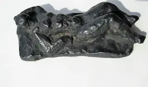 Charlotte van Pallandt - liggend naakt kopen? Bied vanaf 350!