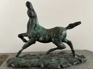 Ellen Welten-Louwers - PAARD kaufen? Bieten Sie von 128!
