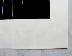 Hans Hartung - Serigraphie 1974 - Auflage HC - handsigniert - (78 x 60 cm) kopen? Bied vanaf 660!