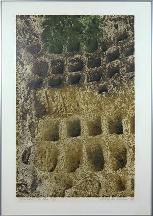 Antony van Lieshout - Litho, Columbier les baux - Ingelijst kopen? Bied vanaf 35!