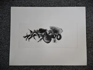 Jan Prins - Fascinerende - kleine oplage (8) - Ets "de onderdelen van een spin" gesigneerd kopen? Bied vanaf 1!