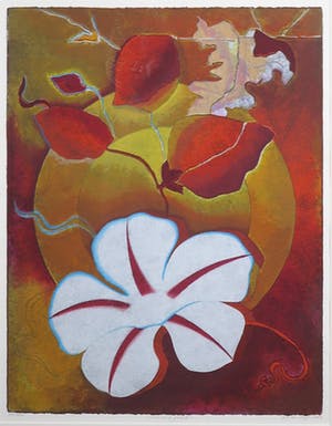 Jan van Delft - Zeefdruk, Morning glory I - Ingelijst kopen? Bied vanaf 1!