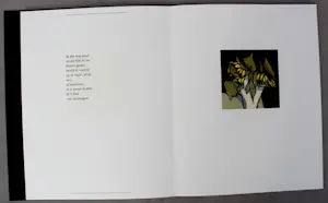 Fon Klement - en Marion Bloem - Boek met 8 werken - 1992 kopen? Bied vanaf 199!