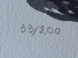 Corneille - Litho: la nigresse - 1999 kopen? Bied vanaf 225!