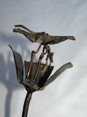 Niet of onleesbaar gesigneerd - Beeld van koper, "Libelle op klaproos" kopen? Bied vanaf 1!