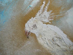 Tinus van Doorn - Tropische vogels op bloesemtak kopen? Bied vanaf 95!