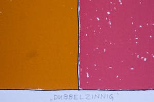 Petra Dolleman - "DUBBELZINNIG" kopen? Bied vanaf 15!