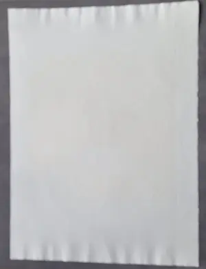 Hector Saunier - Grote, in 1970 gemaakte Epr. d'Art. reliëf kleuren Ets 'Contemplado' kopen? Bied vanaf 55!