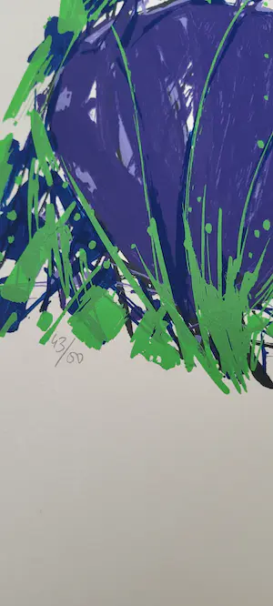 Ad van Hassel - Tulpen kopen? Bied vanaf 1!