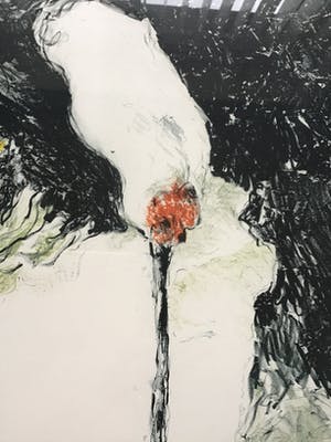 Pascale Ticheler - Litho, van tekening, gesigneerd, oplage 4/25, ingelijst met passe-partout kopen? Bied vanaf 65!