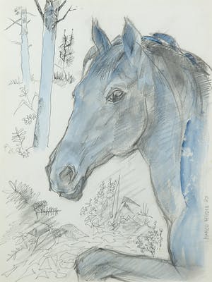 Margot Hudig-Heldring - Gemengde techniek op papier, Paardenportret - Ingelijst kopen? Bied vanaf 1!