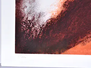 Roger Somville - Zeefdruk - 80x60 cm - Gesigneerd - n° 1/130 kopen? Bied vanaf 75!