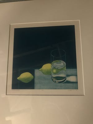 Joop Vegter - glas water met citroenen kopen? Bied vanaf 30!
