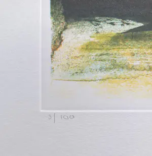 Dirk Skreber - Crystella, gravure kopen? Bied vanaf 95!