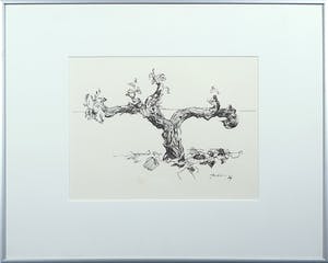 Piet Snoeren - Pentekening op papier, Boomstam - Ingelijst kopen? Bied vanaf 50!