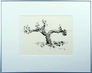 Piet Snoeren - Pentekening op papier, Boomstam - Ingelijst verkocht voor € 50!