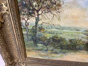 Joop Stoffels - Wageningen kopen? Bied vanaf 25!