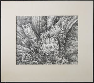 Ton Pape - Pentekening, Natuurlijke vormen kopen? Bied vanaf 1!