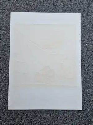 Fon Klement - Grote boardsnede "hymne au soleil" beperkte oplage (125) - nieuwstaat kopen? Bied vanaf 68!