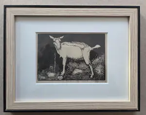 Jan Mankes - Geit. Ingelijst. kopen? Bied vanaf 59!