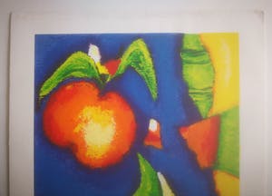 Saskia Bremer - Fruitful cooperation kopen? Bied vanaf 39!