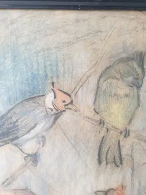 Marie van Waning-Stevels - Vogels kopen? Bied vanaf 200!