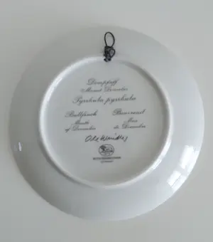 Hutschenreuther - Wandbord Hutschenreuther - Porselein Ole Winther , goudvink kopen? Bied vanaf 1!