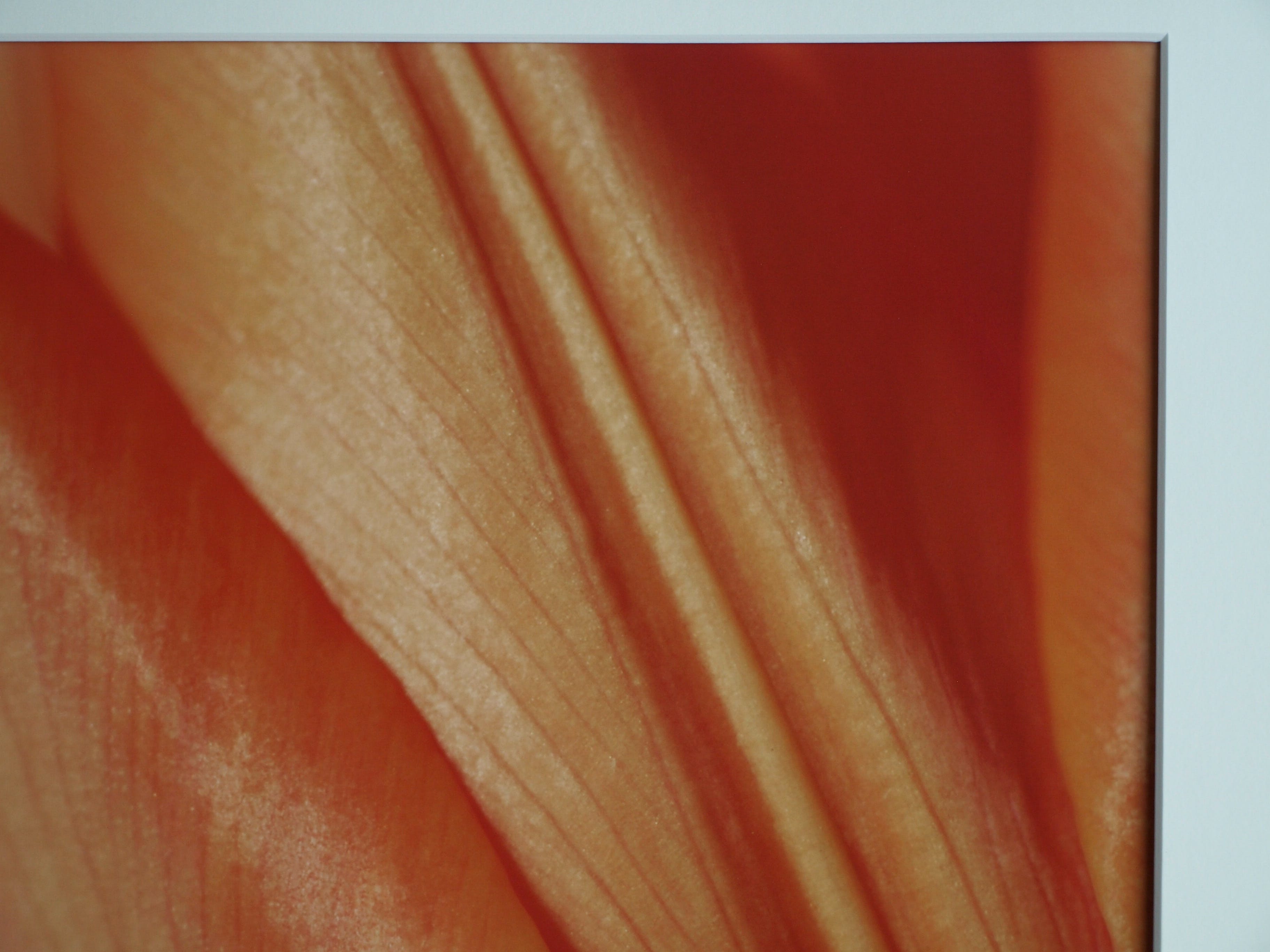 Niet of onleesbaar gesigneerd - Foto , Close-up – ingelijst  kopen? Bied vanaf 1!